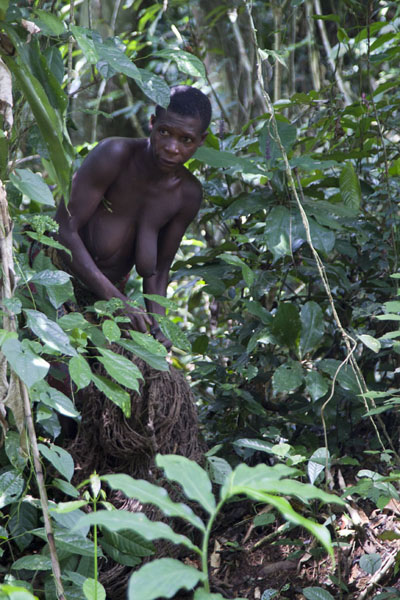 Picture of BaAka net hunting (Central African Republic): BaAka pygmy woman in the forest during the net hunt