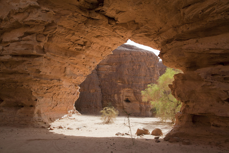 Foto van Arch with tree in the rock formations of west Terkei - Tsjaad - Afrika