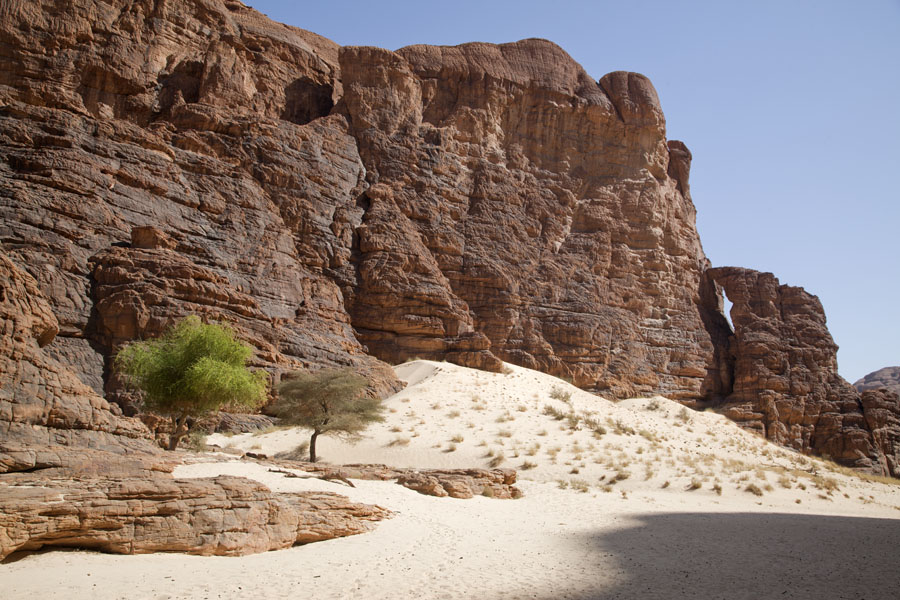 Foto van Canyon with vertical rock walls, sand and trees near the wells of Tokou - Tsjaad - Afrika