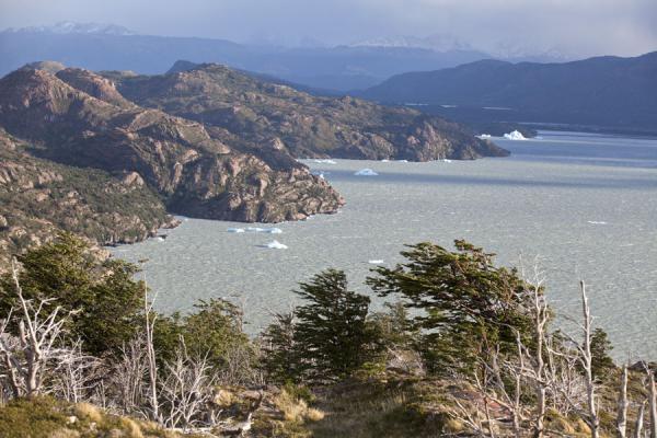 Foto van Grey Lake with icebergsTorres del Paine - Chili