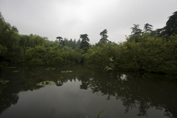 Picture of West Lake (China): Tranquil pond on the east side of the West Lake
