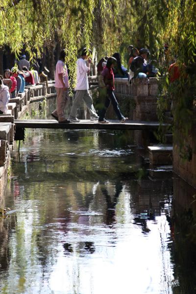 Picture of Lijiang Old Town (China): Crossing a bridge under one of the many willows of Lijiang