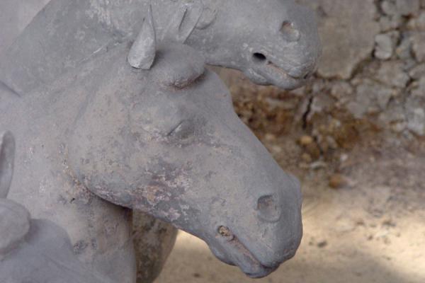 Picture of Xuzhou Terracotta Warriors (China): Horse at Xuzhou warrior site