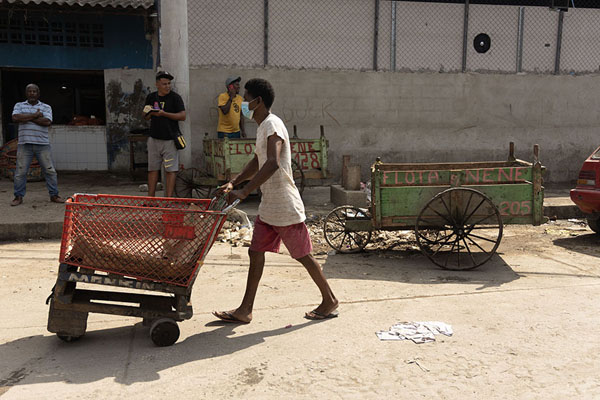 Foto di Man with cart at Bazurto marketCartagena - Colombia