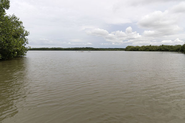 Picture of The Juan Polo lake near BoquillaLa Boquilla - Colombia