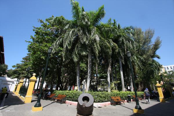 Picture of Parque de Bolívar of Cartagena de Indias