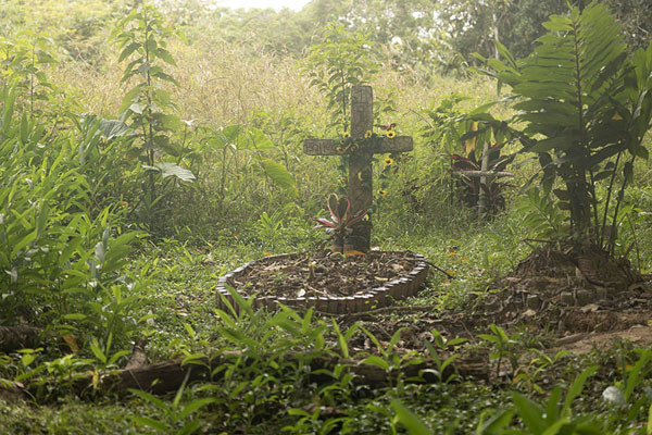Picture of Tomb at a small cemetery near a village on the river banks of the Amazon - Colombia - Americas
