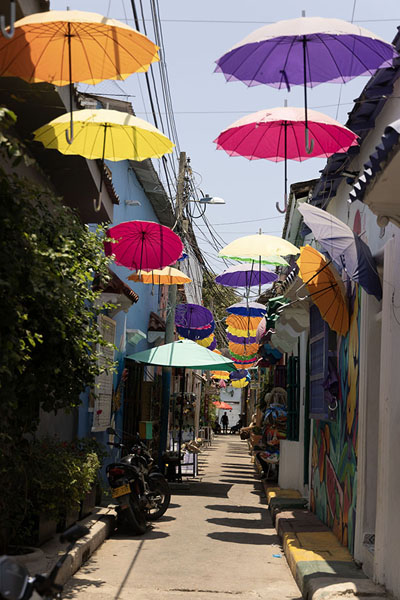 Street with umbrellas in Getsemaní | Getsemaní | Colombia