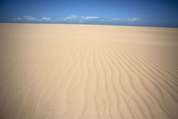Looking up a sand dune at Taroa | La Guajira | Colombia