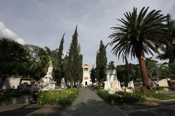 Picture of San Pedro Cemetery Medellín