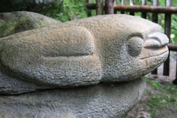 Picture of Archeological Park San Agustín (Colombia): Animal face made of stone