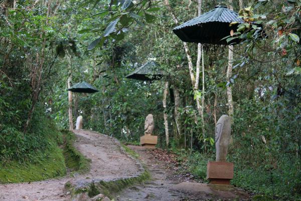 Picture of Some of the many statues on the path going through the Forest of Statues