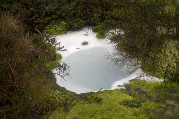 Picture of Puracé landscape (Colombia): Thermal pool with hot water at the hot springs of San Juan
