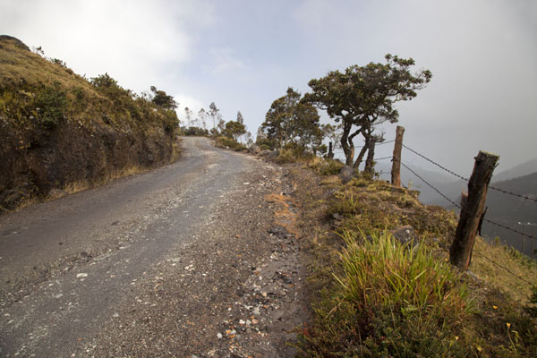 Picture of Puracé landscape (Colombia): The track on the slopes of the Puracé volcano