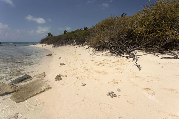 Picture of Beach on Johnny Cay, near San Andrés - Colombia - Americas