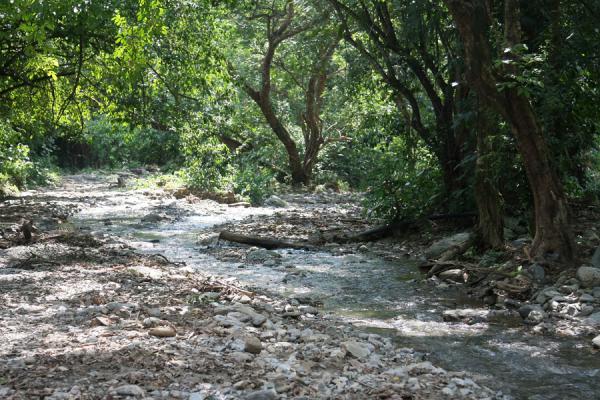 Picture of Following Tahamí river upstream from Sucre will take you to Cascada de Sucre