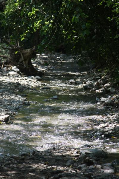 Picture of Tahamí river running down from Sucre Falls