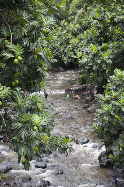 Picture of Mutsamudu river with people washingHombo - Comoros