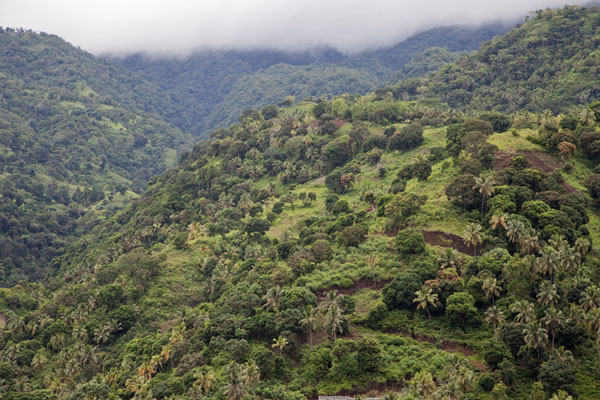 Picture of Comoros (Hills close to Hombo)