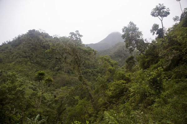 Picture of Mount Ntringui hike (Comoros): The summit of Mount Ntringui re-appearing after heavy rains in the late afternoon