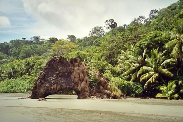Foto van Playa Llorona with rock archDrake Baai - Costa Rica