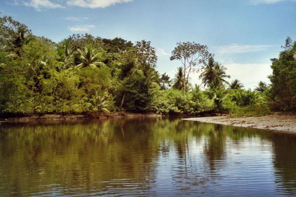 Foto van Llorona river and pristine wildernessDrake Baai - Costa Rica