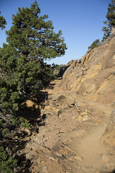 Picture of Open, rocky section of Artemis trail