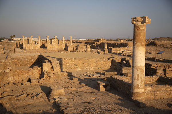Photo de The ruins of the House of TheseusPafos - Chypre