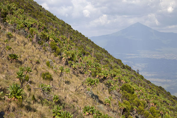 Picture of Steep upper slope of Nyiragongo with Rwandan mountain in the backgroundNyiragongo - Democratic Republic Congo