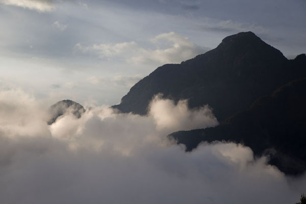 Picture of Rwenzori Mountains (Democratic Republic Congo): View from Mahangu Hut at sunset: the Rwenzori mountains towering above the clouds