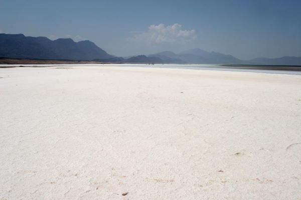 Foto van Endless white salty surface of Lac AssalLac Assal - Djibouti