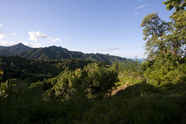 Foto de The hills and forest on the east coast of Dominica, near Ravine CyriqueCascada Ravine Cyrique - Dominica