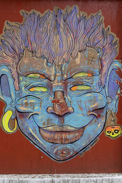 Picture of La Floresta (Ecuador): Colourful head painted on a wall in La Floresta