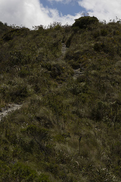 Photo de The trail meandering through the landscape around Laguna CuicochaLaguna Cuicocha - l'Equateur