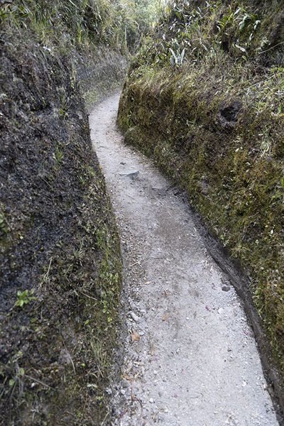 Foto de Narrow section of the trail around Laguna CuicochaLaguna Cuicocha - Ecuador