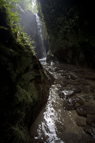 Foto de Tall waterfall in a rocky canyonMindo - Ecuador