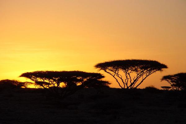 Foto van Sunset on Shumma islandDahlak archipel - Eritrea