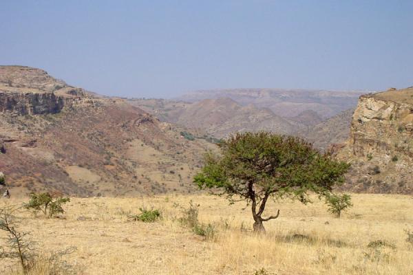 Picture of Hamm (Eritrea): Valley near Hamm