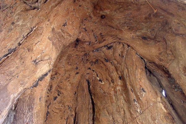 Foto van Is this holy wood? Baobab tree from insideKeren - Eritrea