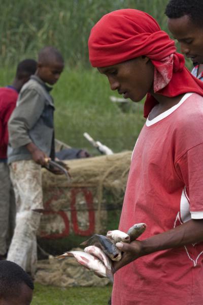 Carrying a few fish at the fishmarket of Awassa | Awassa | Ethiopia
