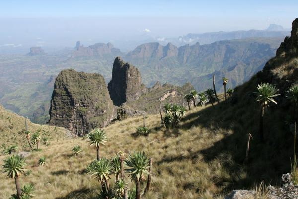 Picture of Simien Mountains (Ethiopia): Looking down to the landscape below from Imet Gogo
