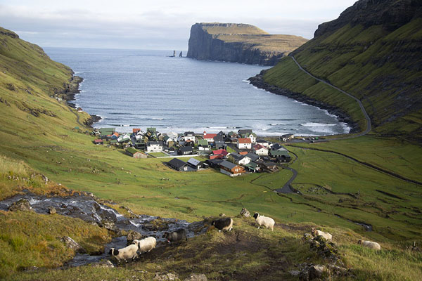 Picture of Tjørnuvik and its bay seen from aboveSaksun Tjørnuvik Hike - Faroe Islands