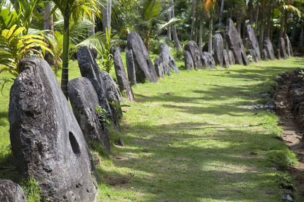 Stone money disks of various sizes resting against tree trunks at the stone money bank of Gilman | Gilman stone money bank | Federated States of Micronesia