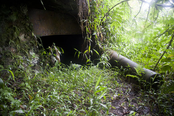 Foto de British Armstrong-Withworth naval gun and steel bunker at the south side of Sokehs ridgeSokehs ridge - Estados Federados de Micronesia