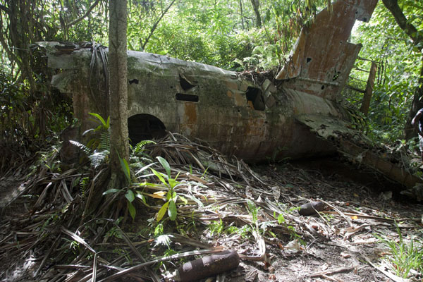 Wreck of a plane in the forest | Yap Second World War wrecks | Federated States of Micronesia
