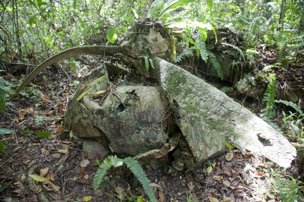 Picture of Propellor blades rusting away in the forest of Yap - Federated States of Micronesia - Oceania