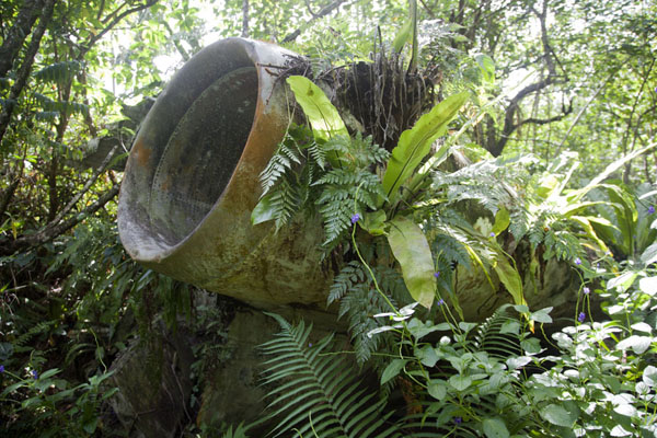 Foto van Part of a plane wreck in the forest near the old airport - actually, of a commercial Continental Micronesia jet crashed in 1980Yap - Federale Staten van Micronesia