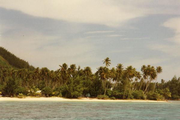 Picture of Beach on Moorea, Tahiti