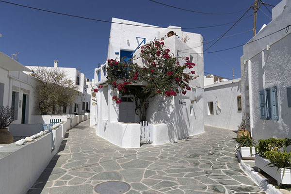 Streets with whitewashed houses in Chora | Folegandros | Grecia