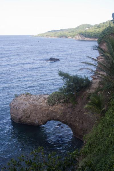 Picture of The cliffs of Carib Leap with a natural arch